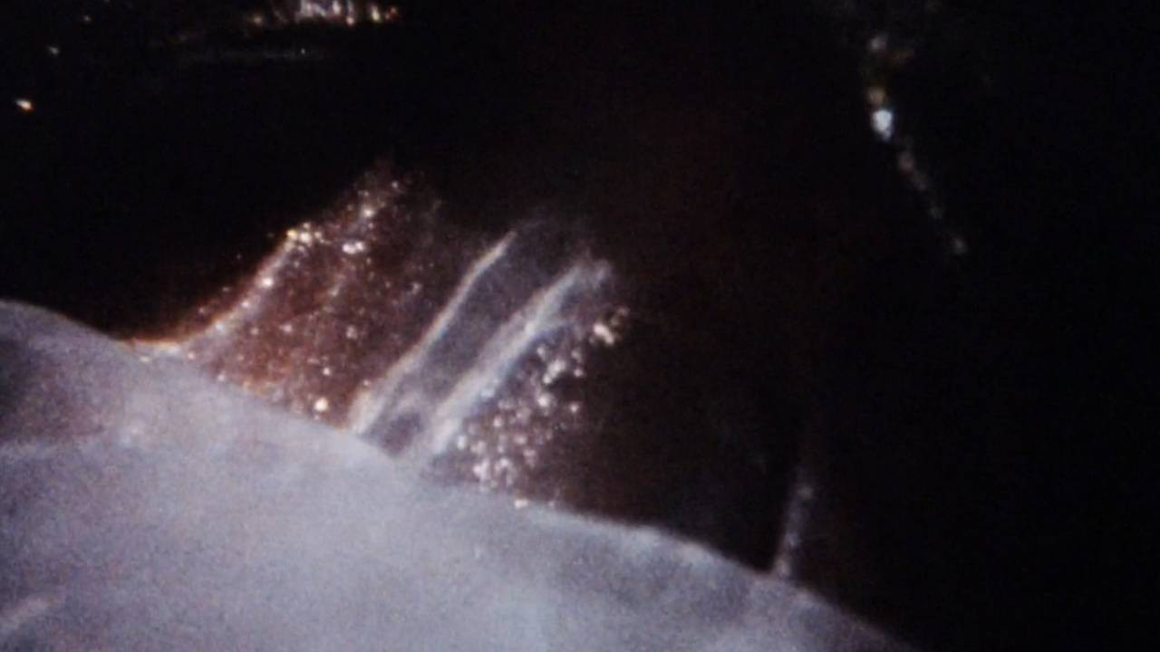 Backdrop for Maternal Filigree