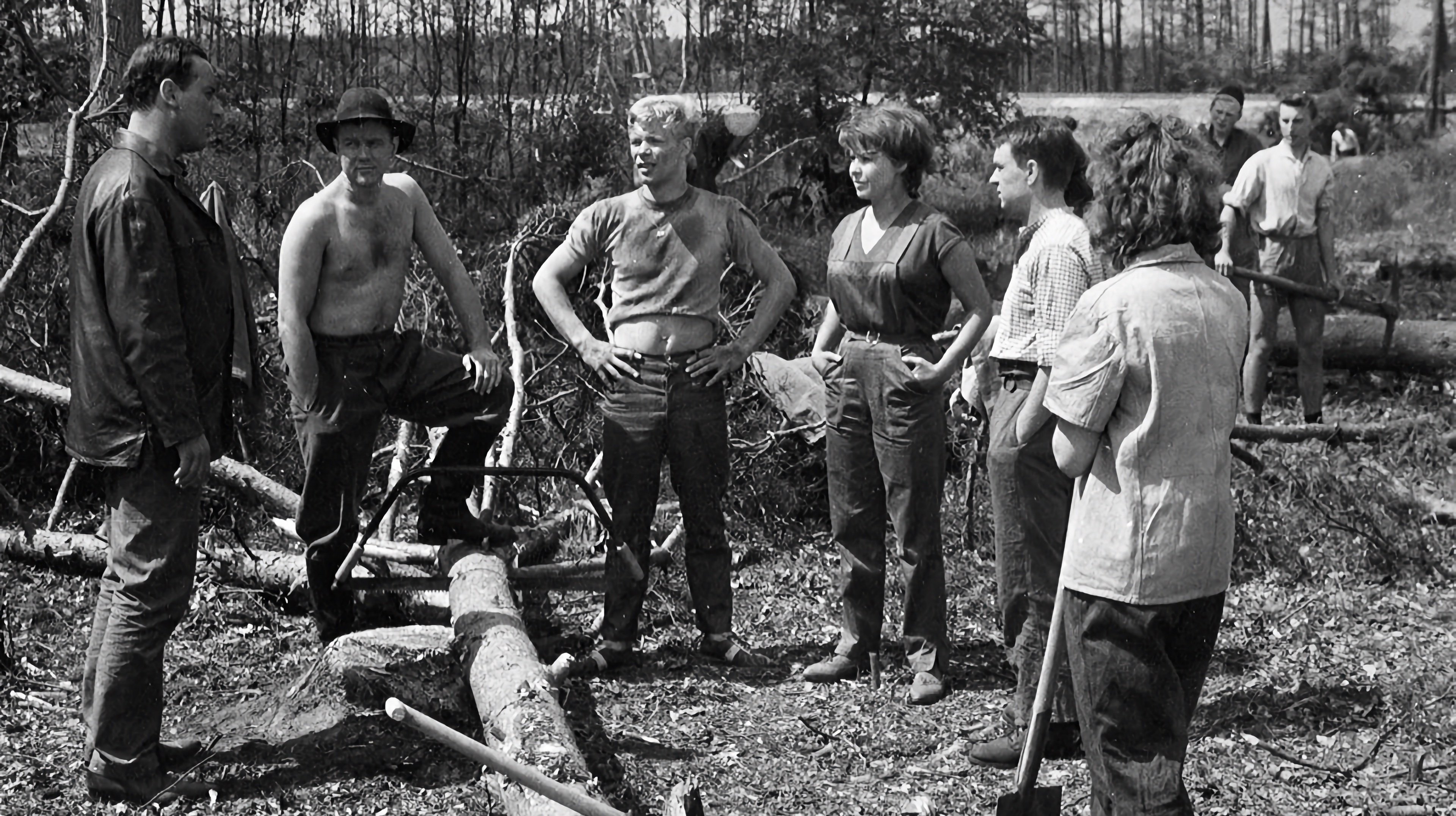 Backdrop for Chronicle of a Summer