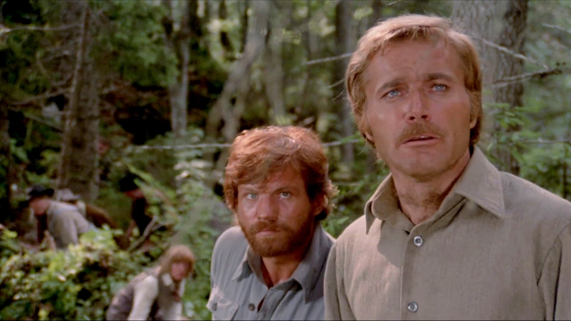 Backdrop for White Fang