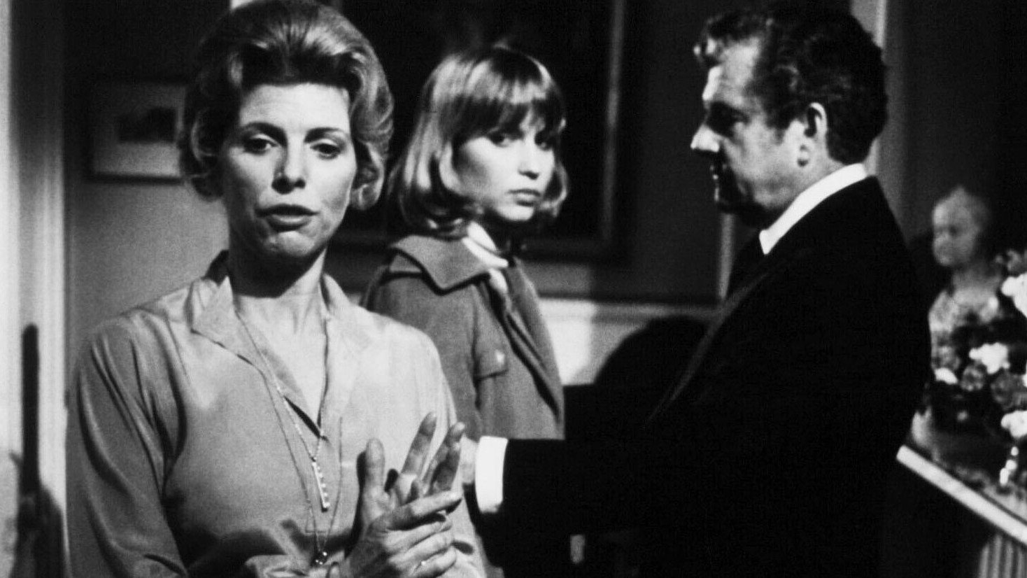 Backdrop for Leopard in the Snow