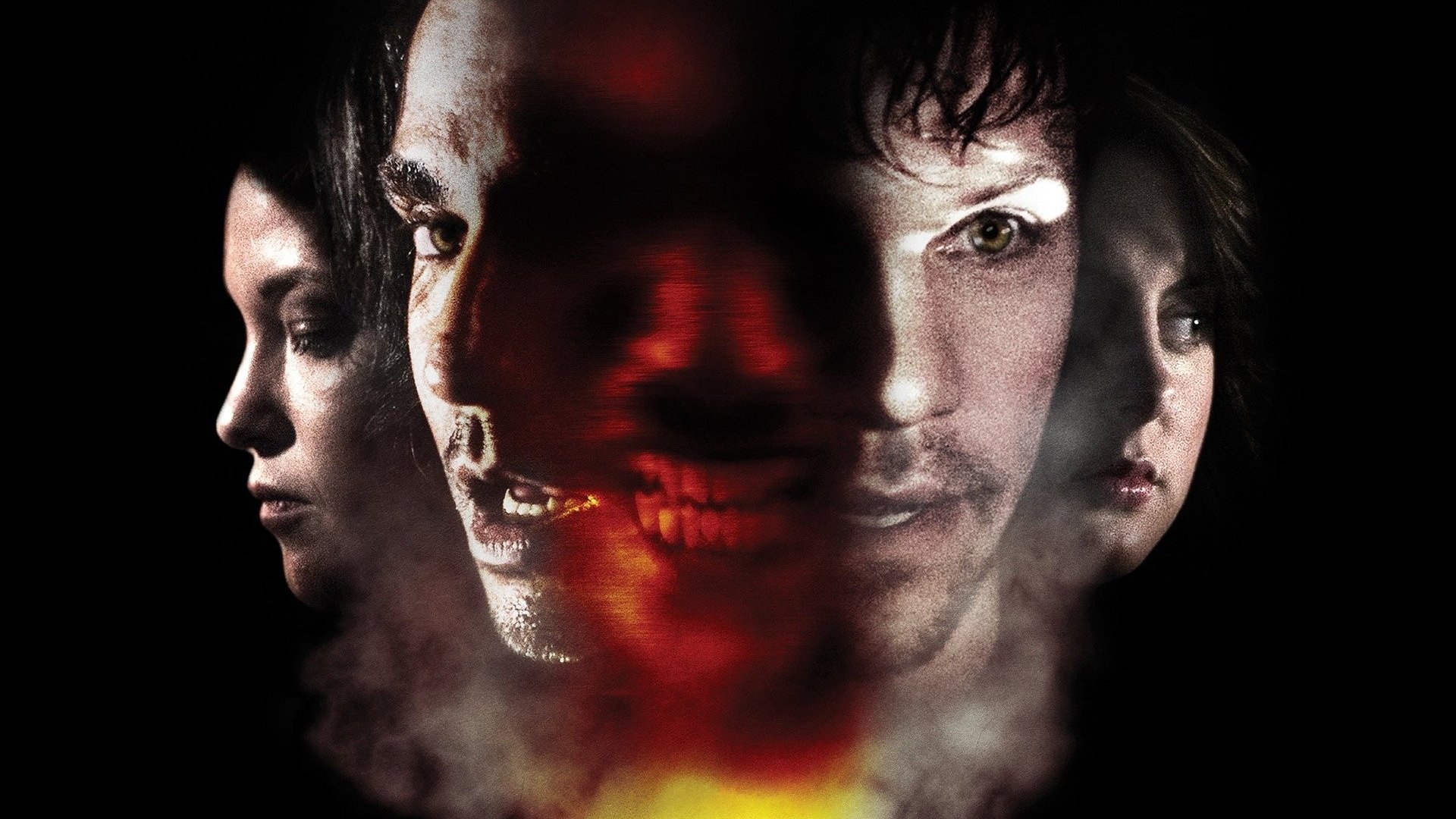 Backdrop for Animals