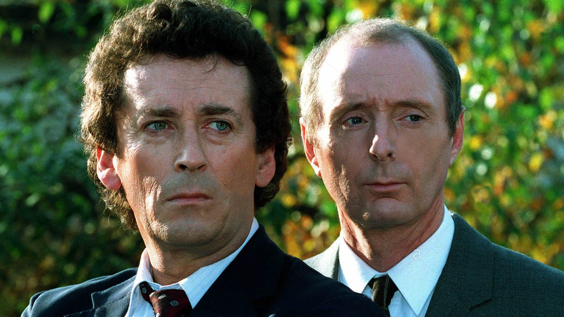 Backdrop for The Detectives