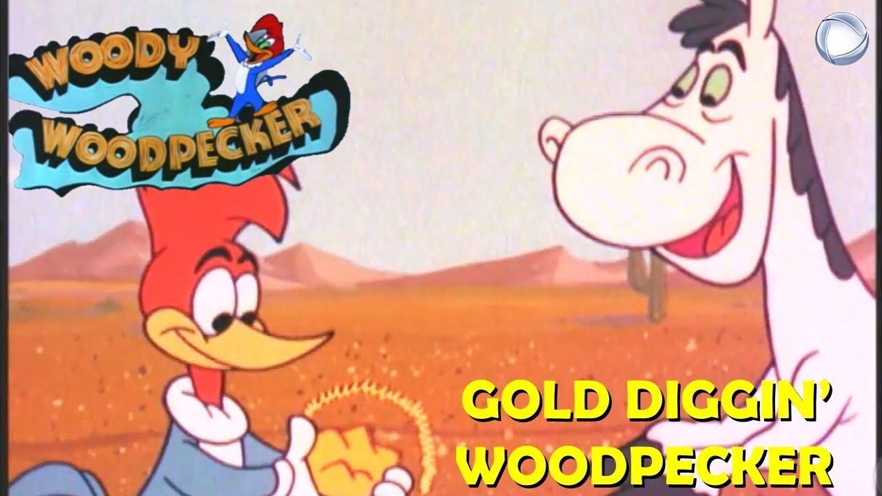 Backdrop for Gold Diggin' Woodpecker