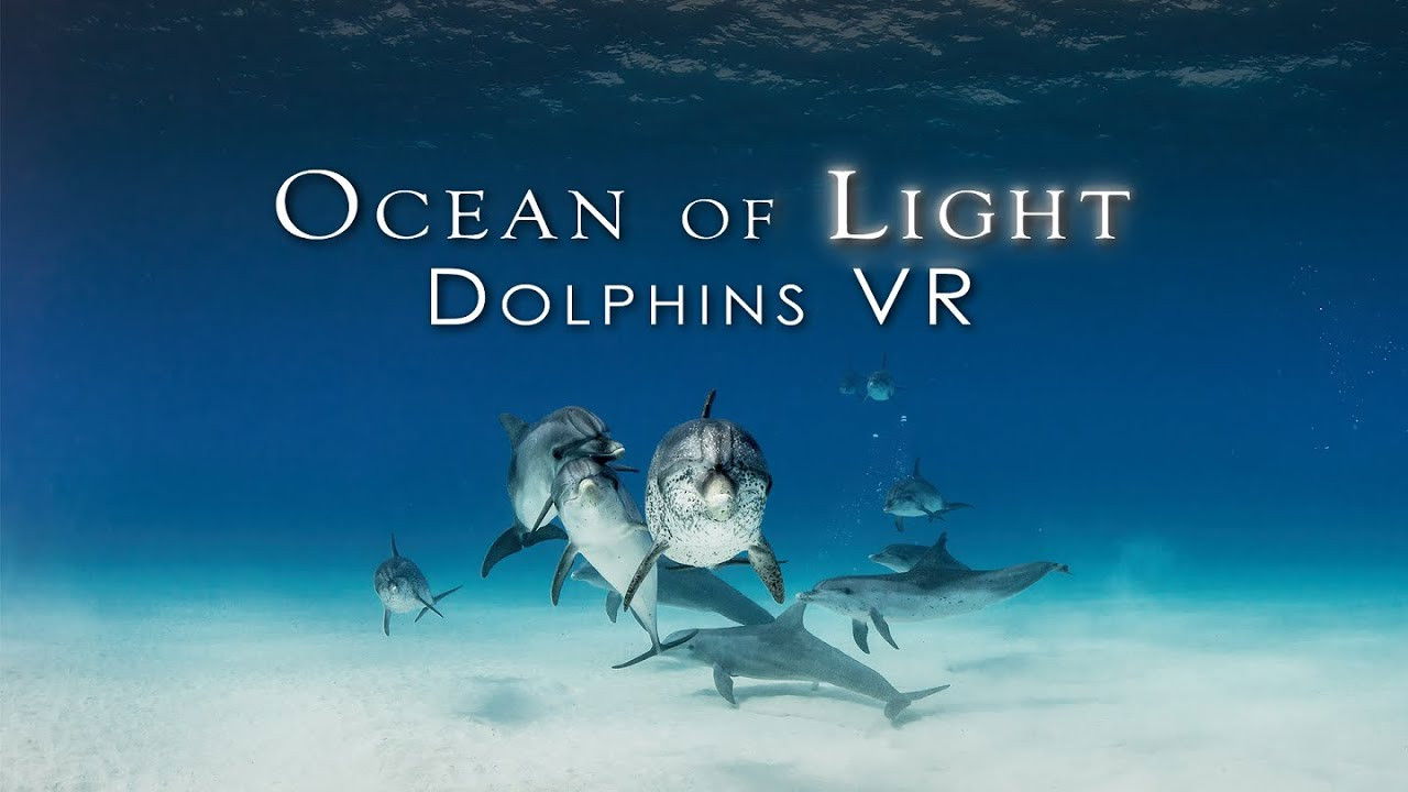 Backdrop for Ocean of Light - Dolphins VR