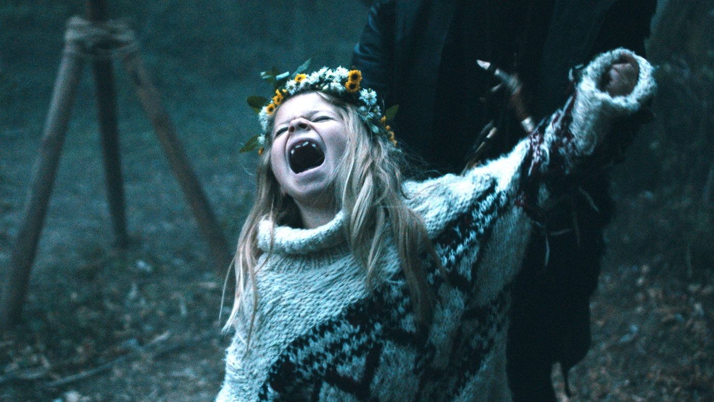 Backdrop for Pelican Blood