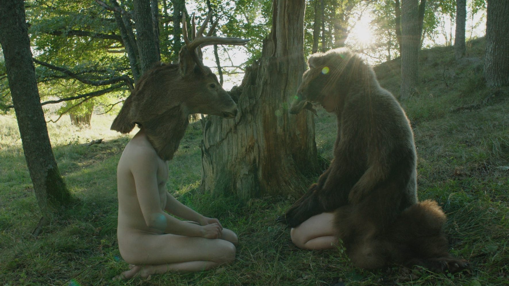 Backdrop for They Have Escaped