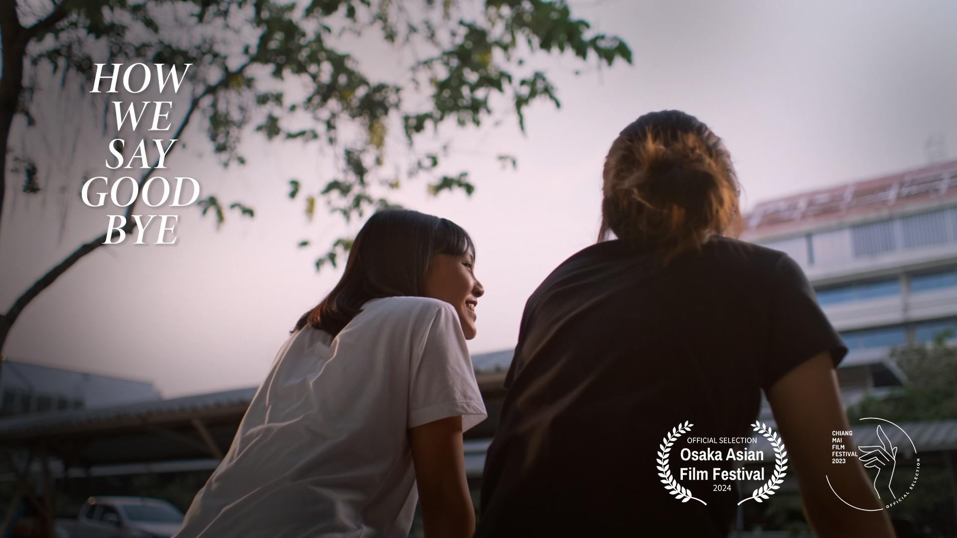 Backdrop for How We Say Goodbye