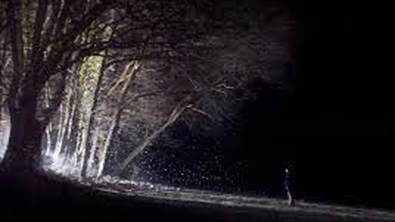 Backdrop for Particles