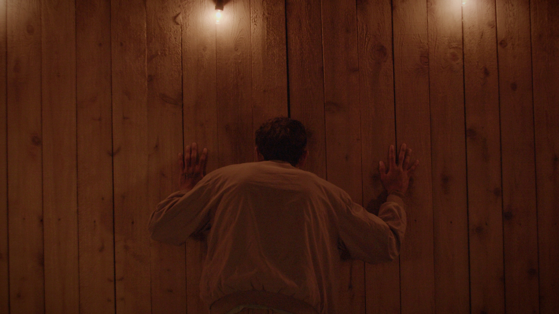 Backdrop for Head Like A Hive