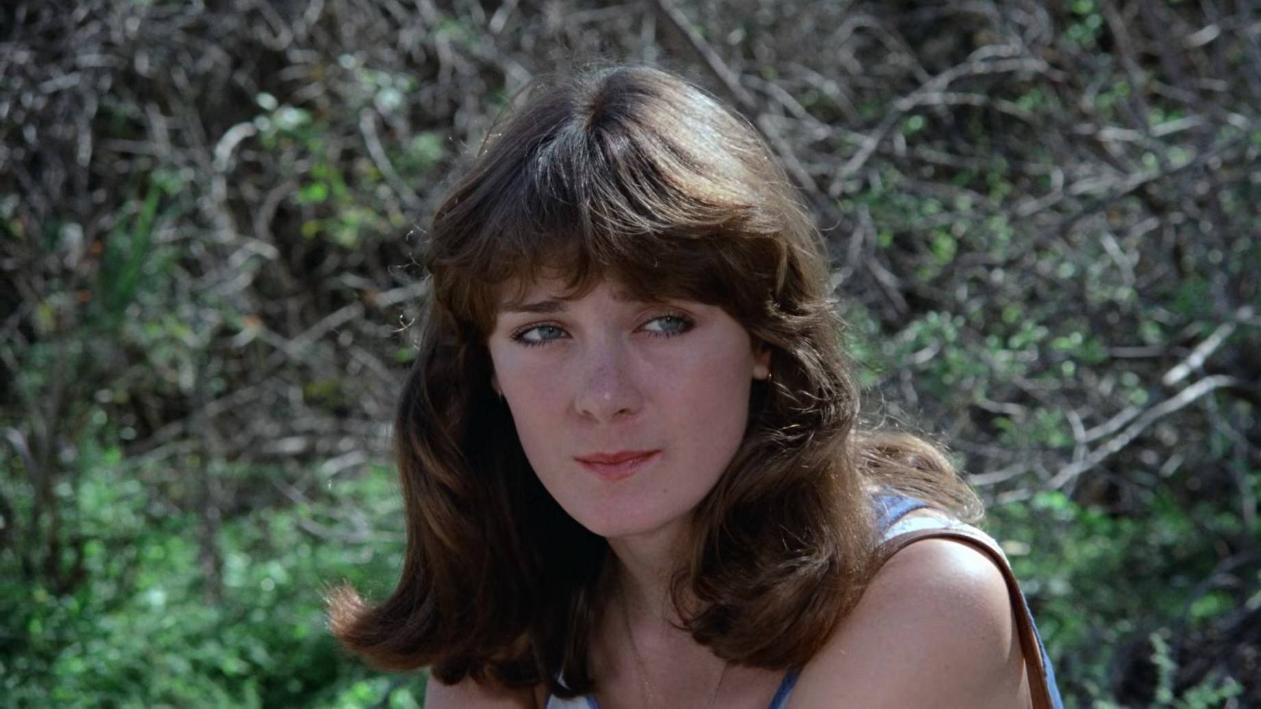 Backdrop for Killer's Delight