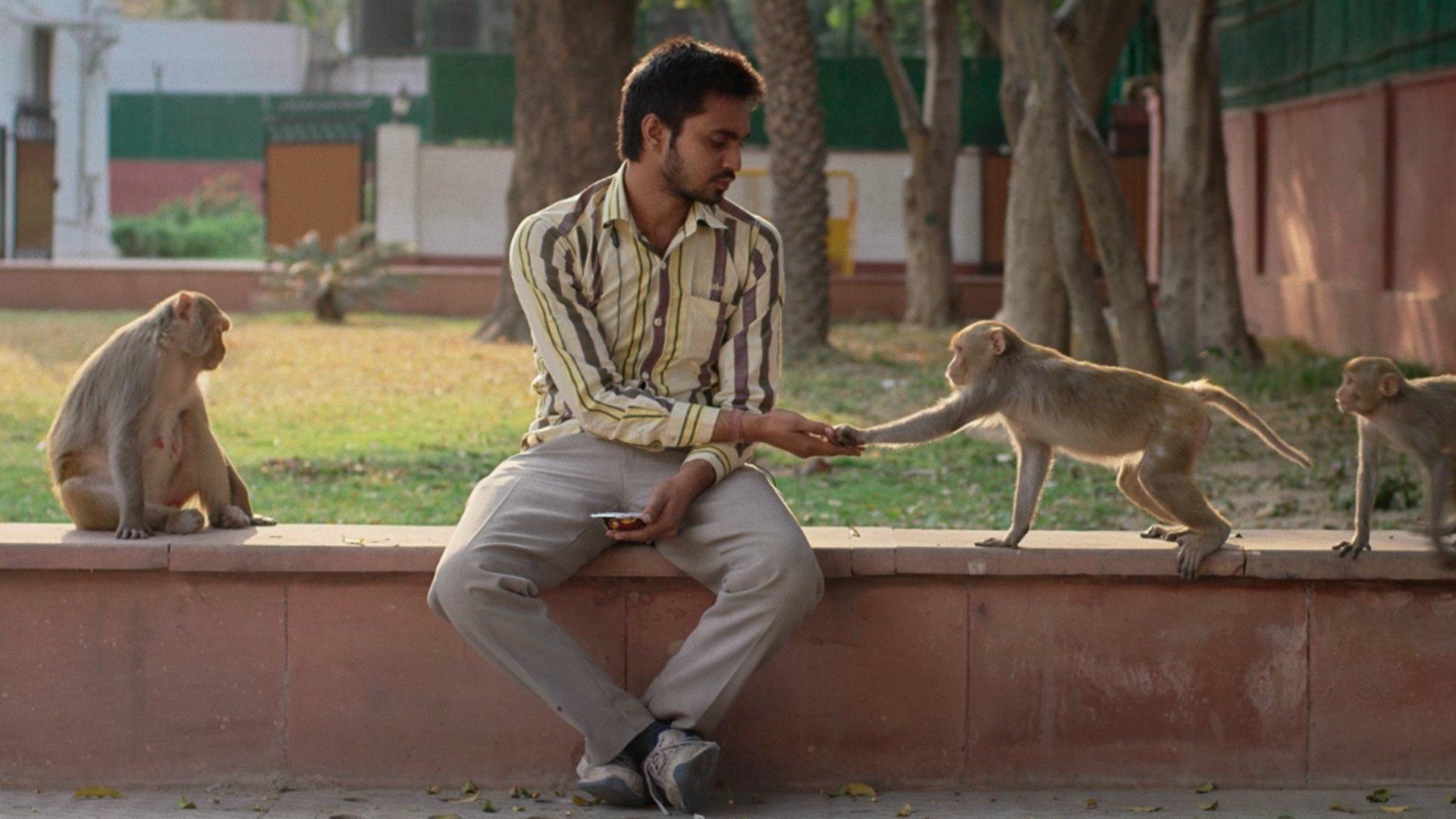 Backdrop for Eeb Allay Ooo!