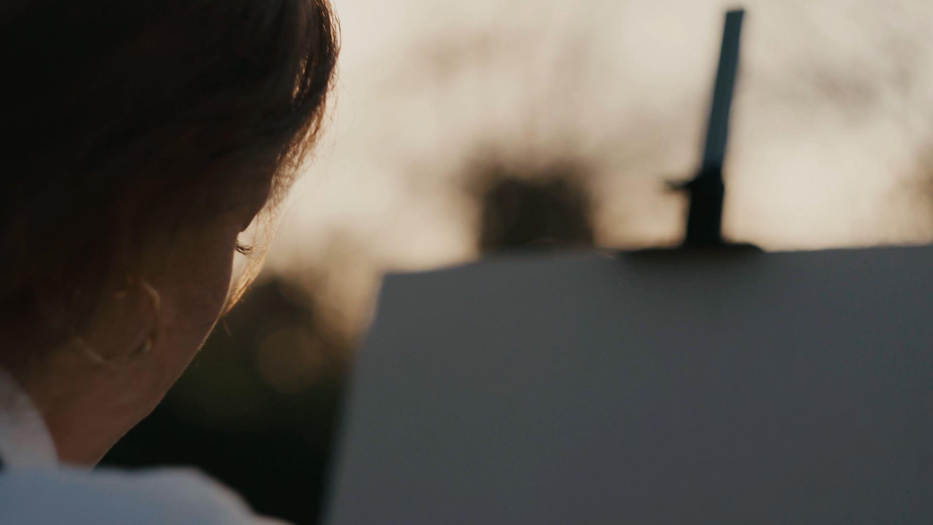 Backdrop for The Painter