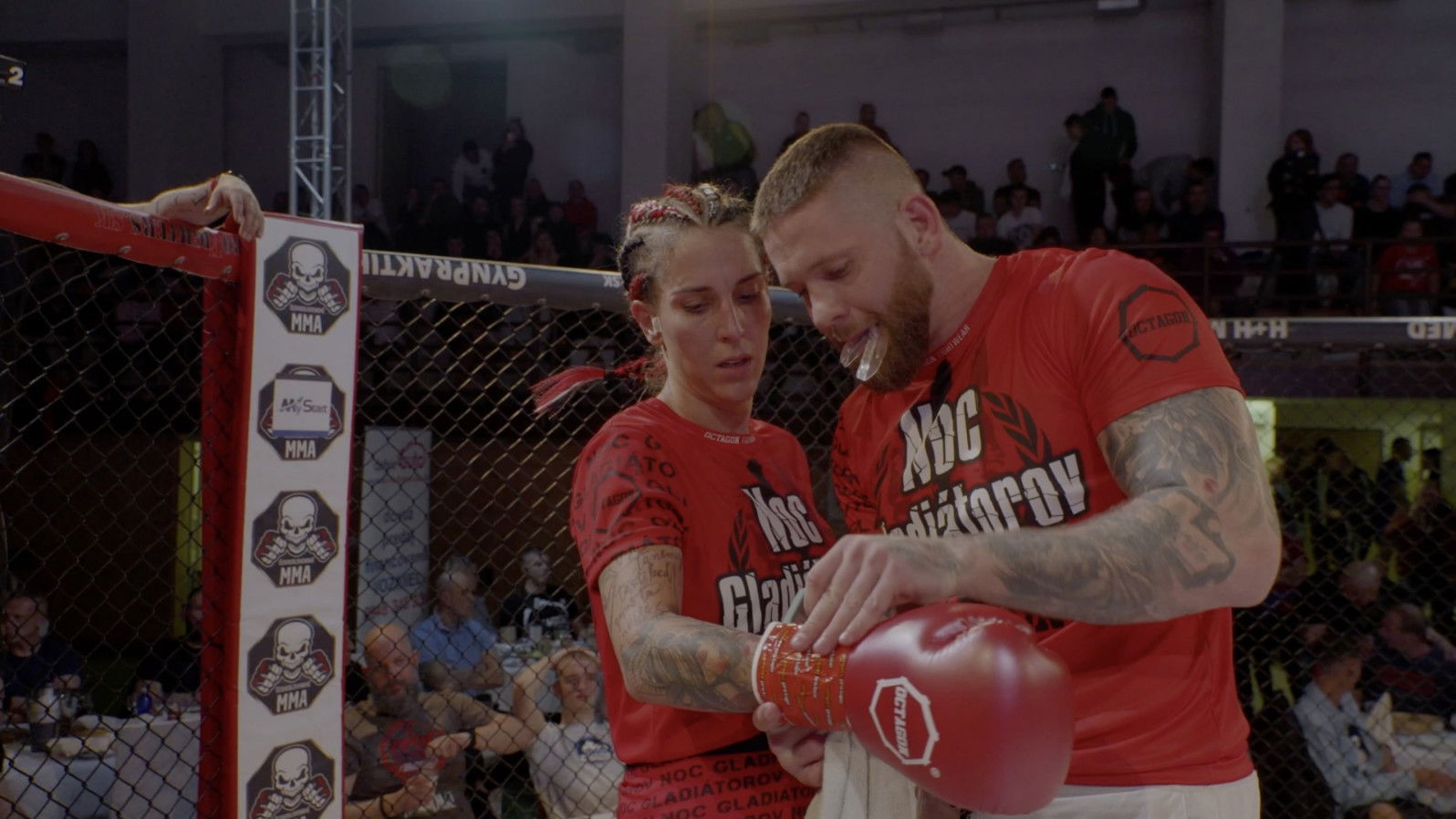 Backdrop for VALE TUDO