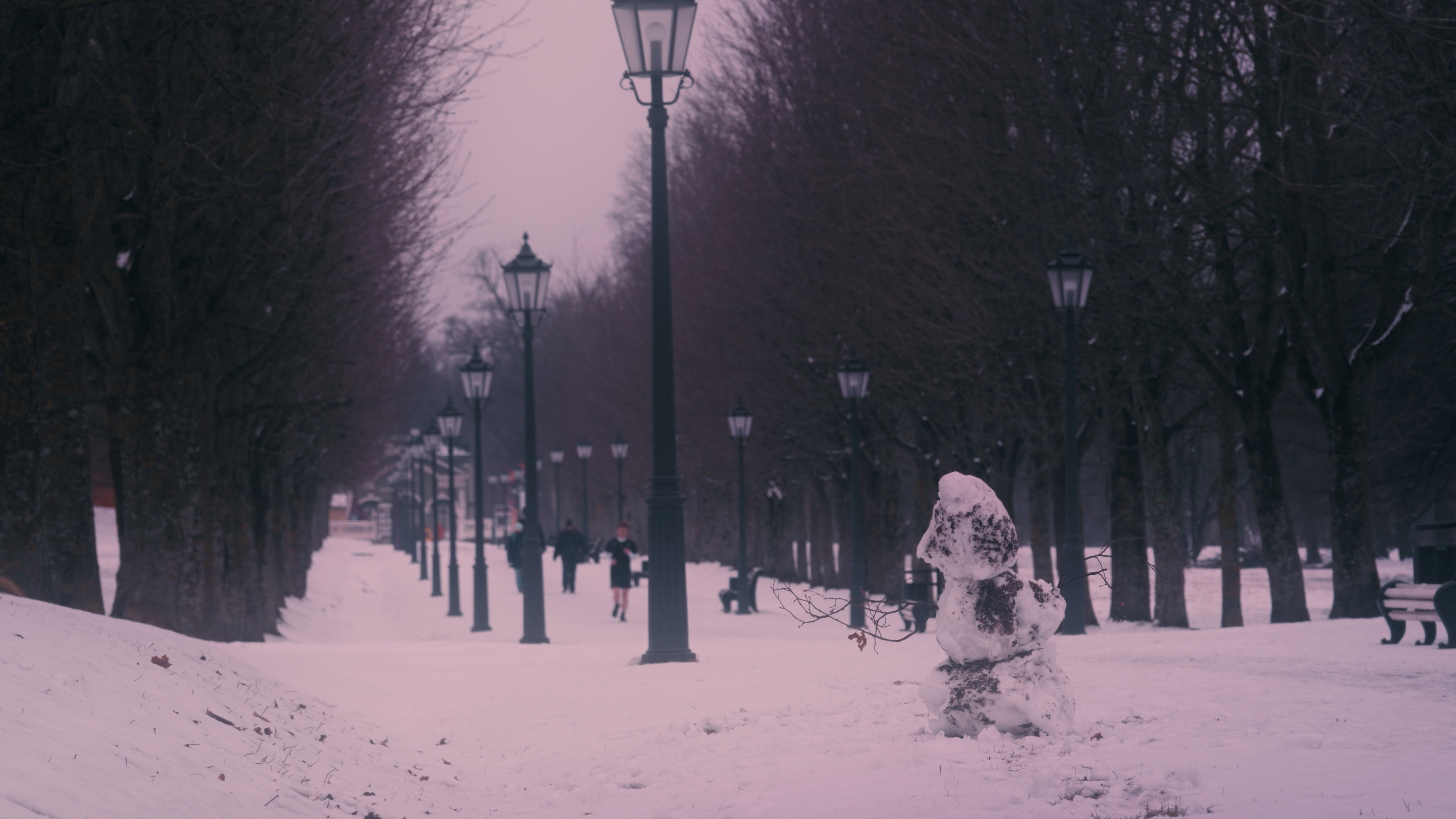 Backdrop for One Crow Sorrow