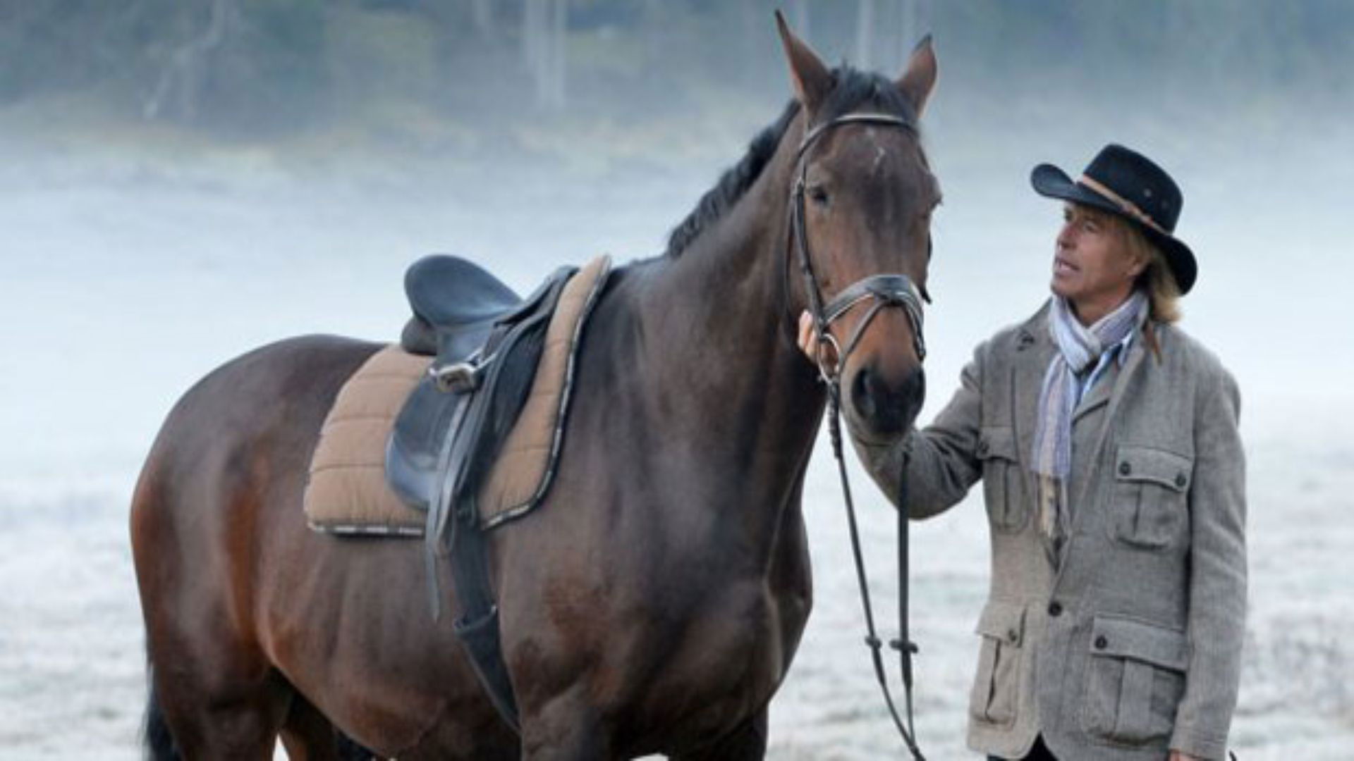 Backdrop for Der Ruf der Pferde