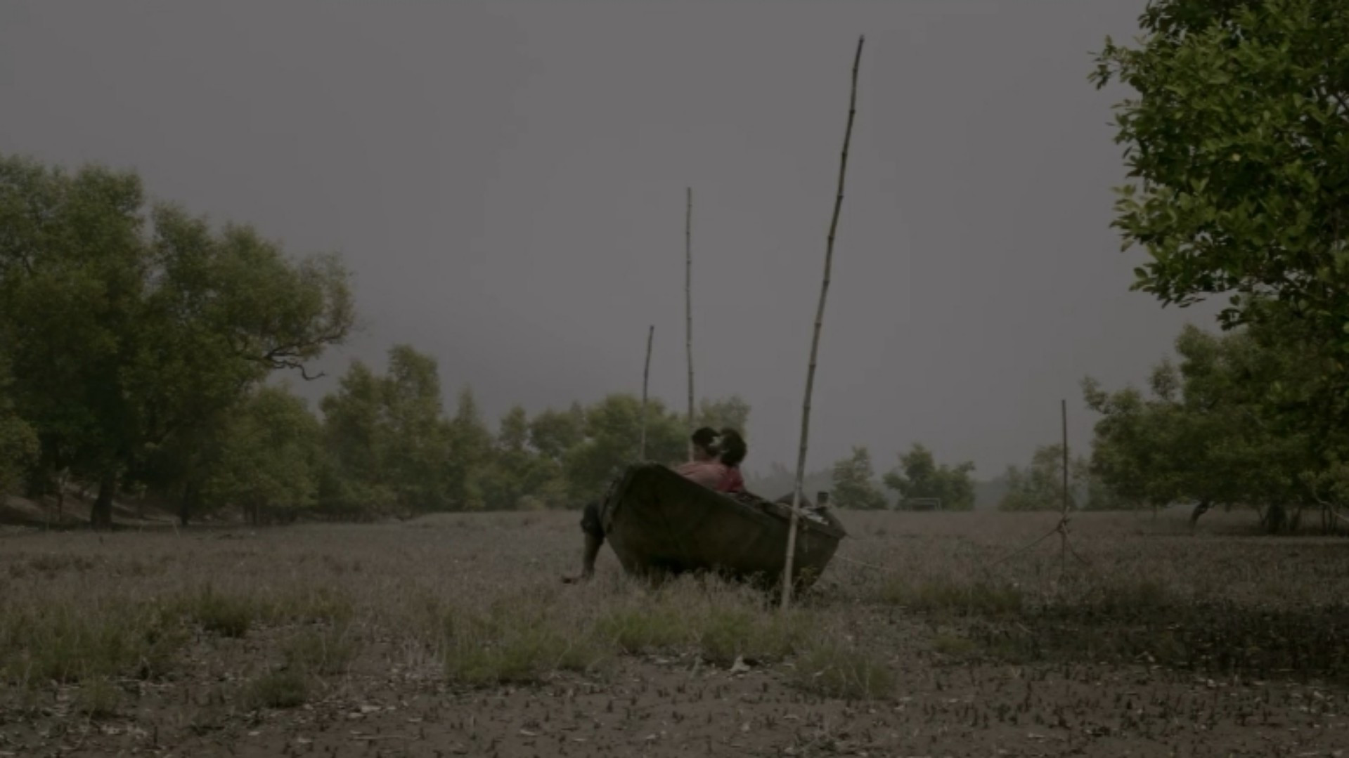 Backdrop for Doaansh