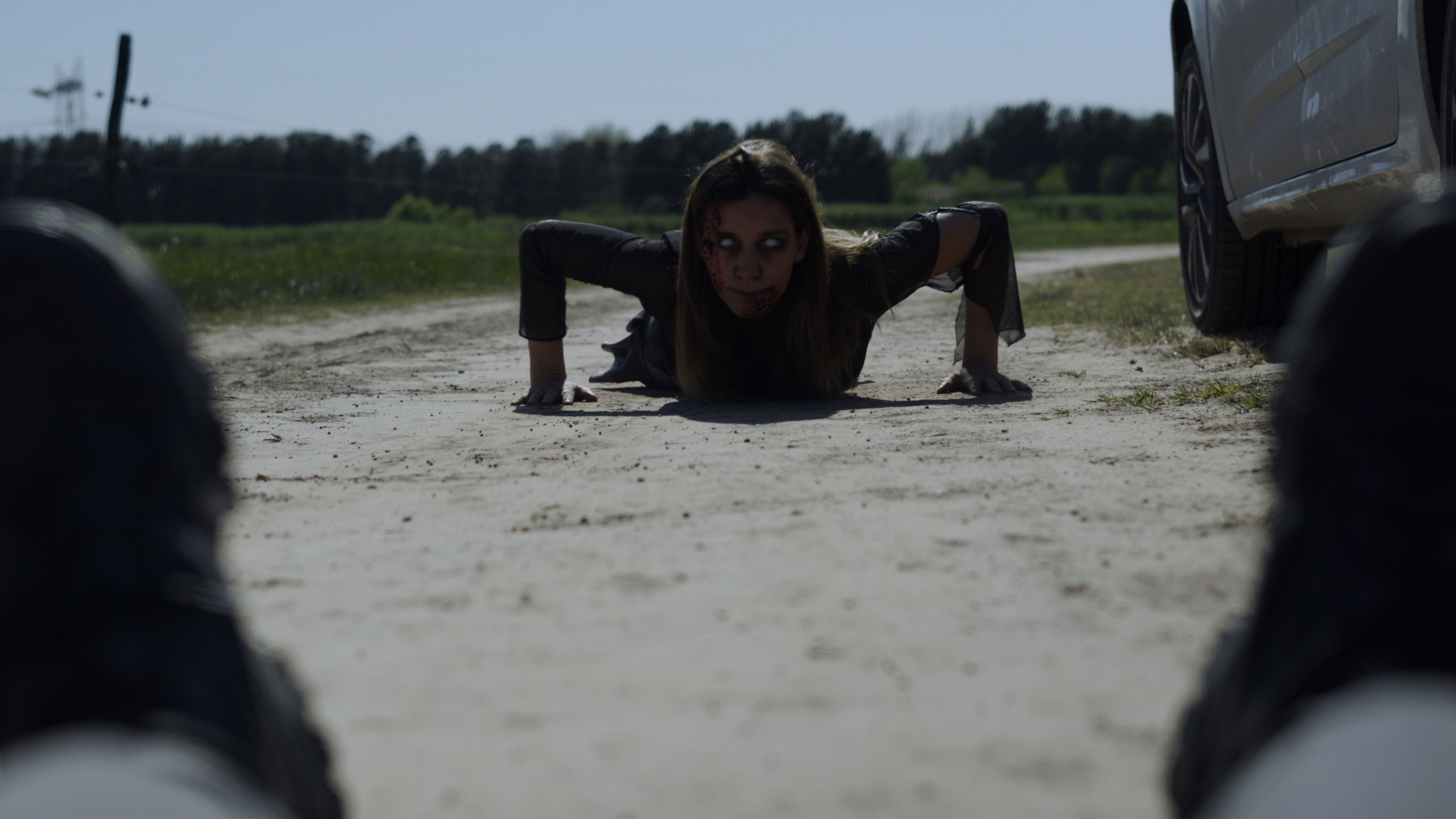 Backdrop for Lola Against the Zombies