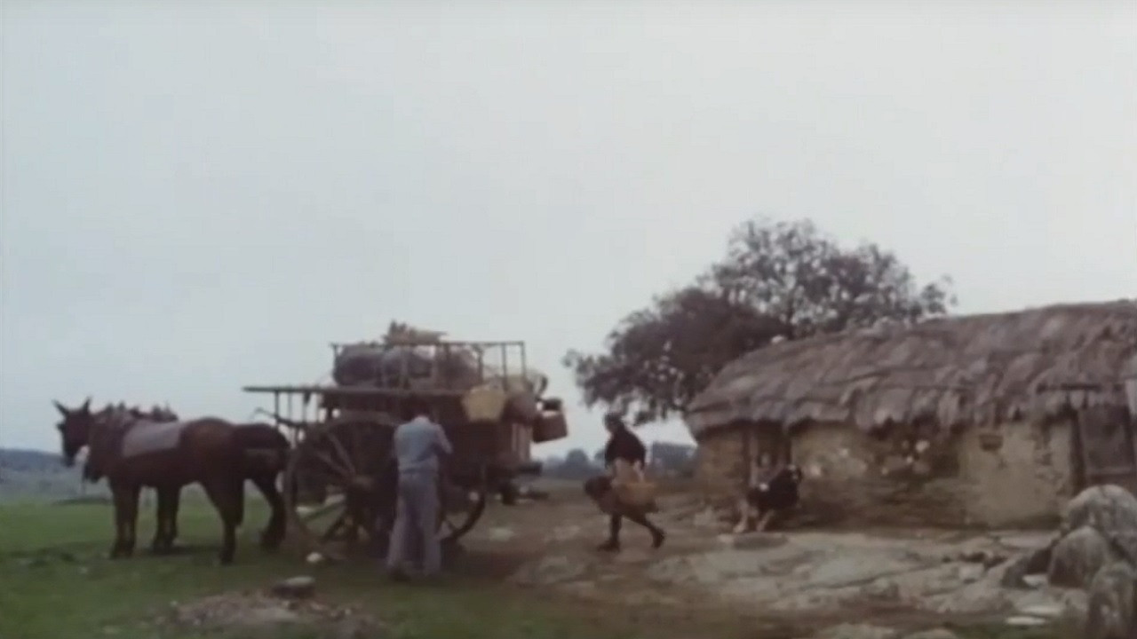 Backdrop for The Holy Innocents