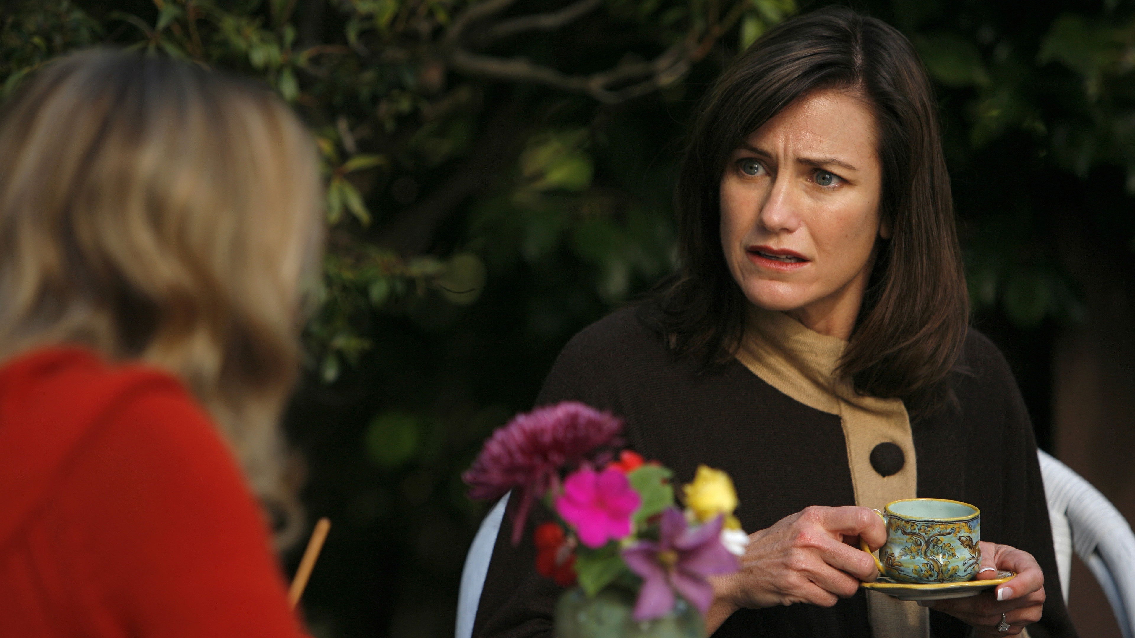 Backdrop for Nothing Against Life