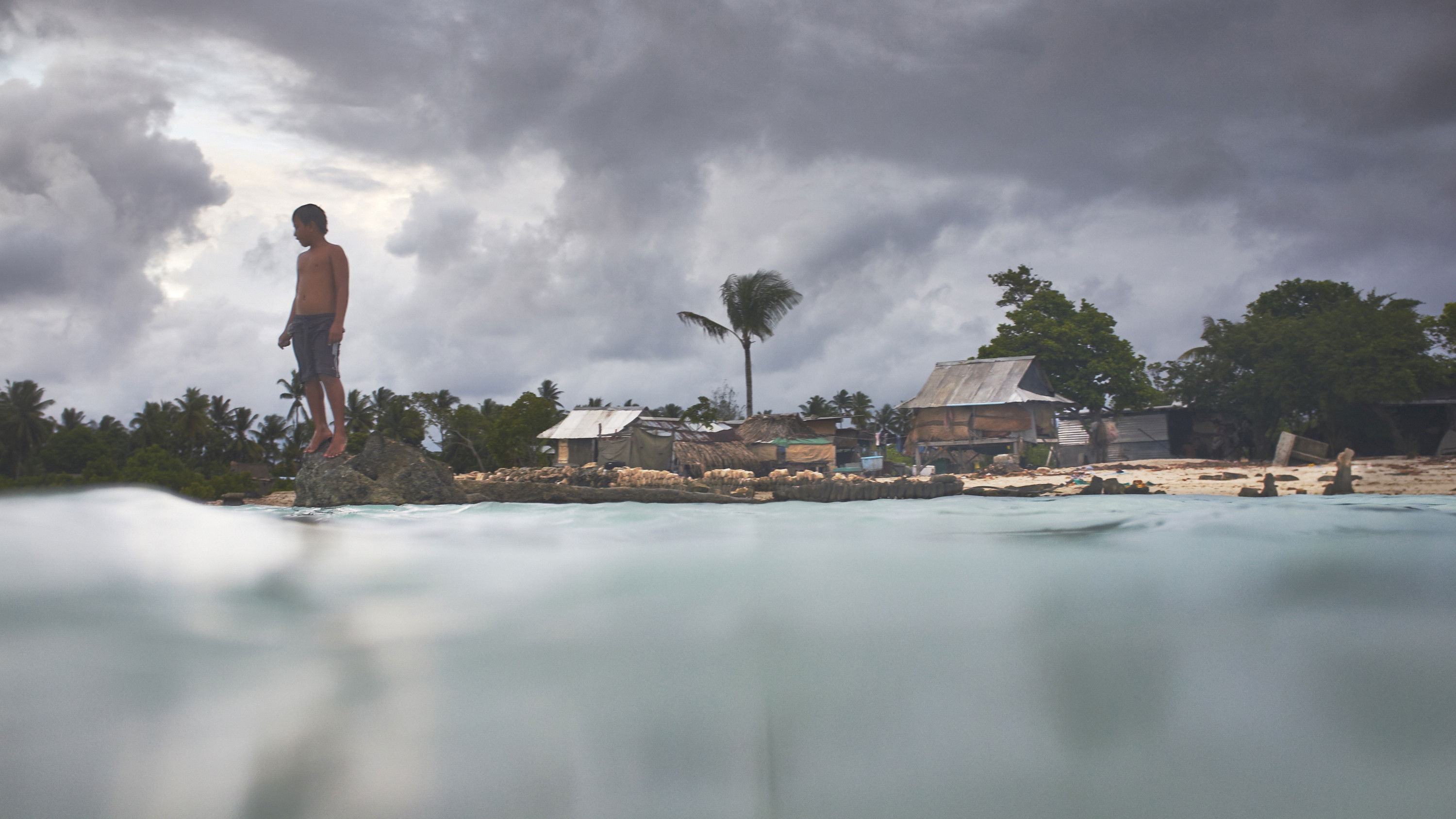 Backdrop for Anote's Ark