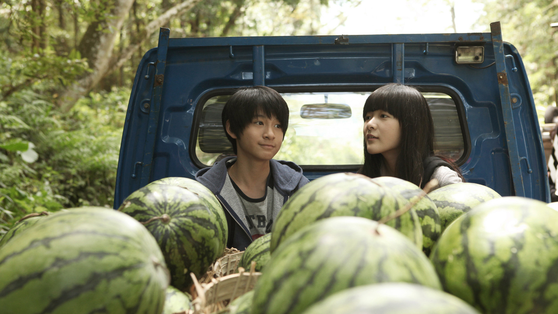 Backdrop for Starry Starry Night