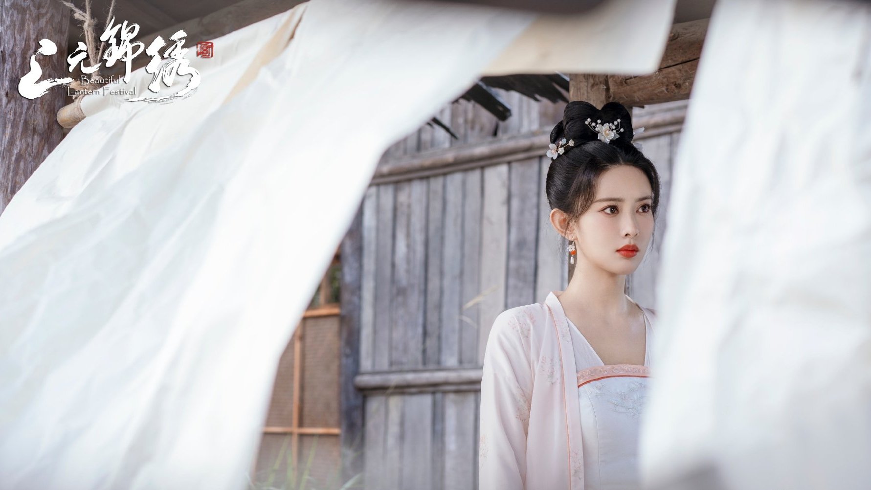 Backdrop for Beautiful Lantern Festival