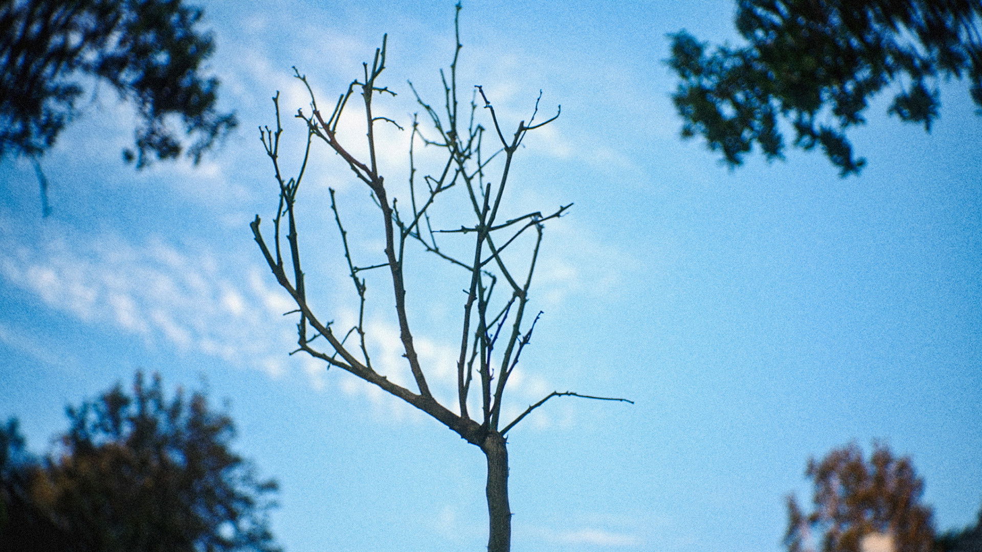 Backdrop for The River of Lethe