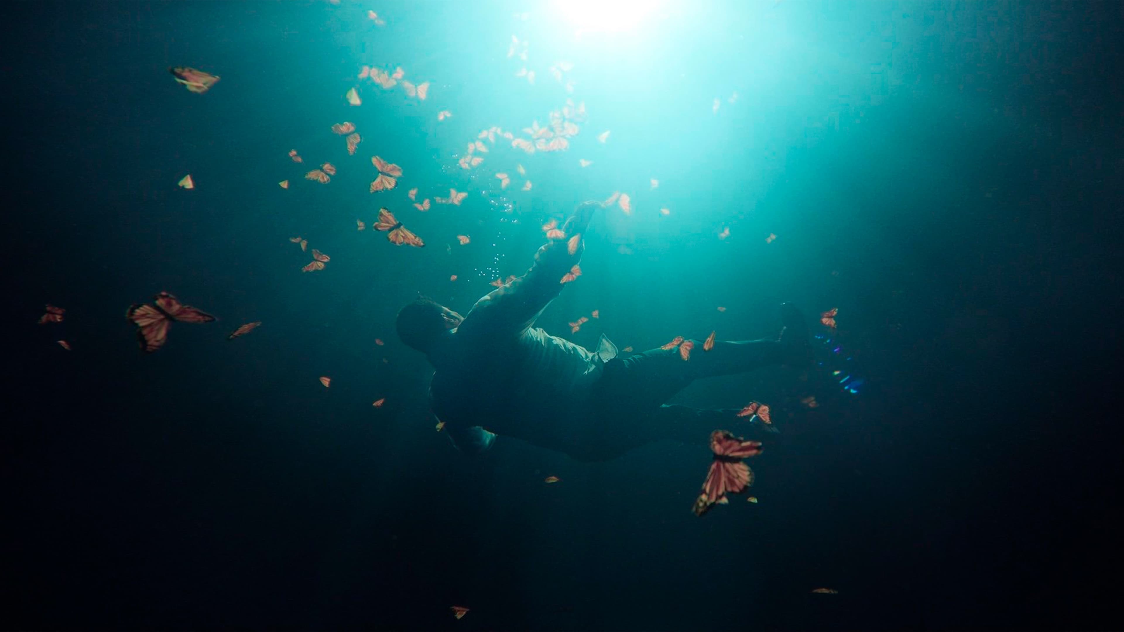 Backdrop for The Guardian of the Monarchs