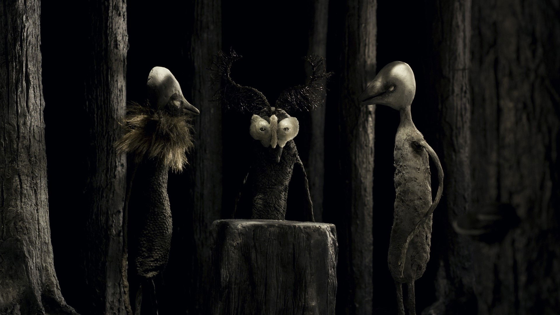 Backdrop for Nocturne