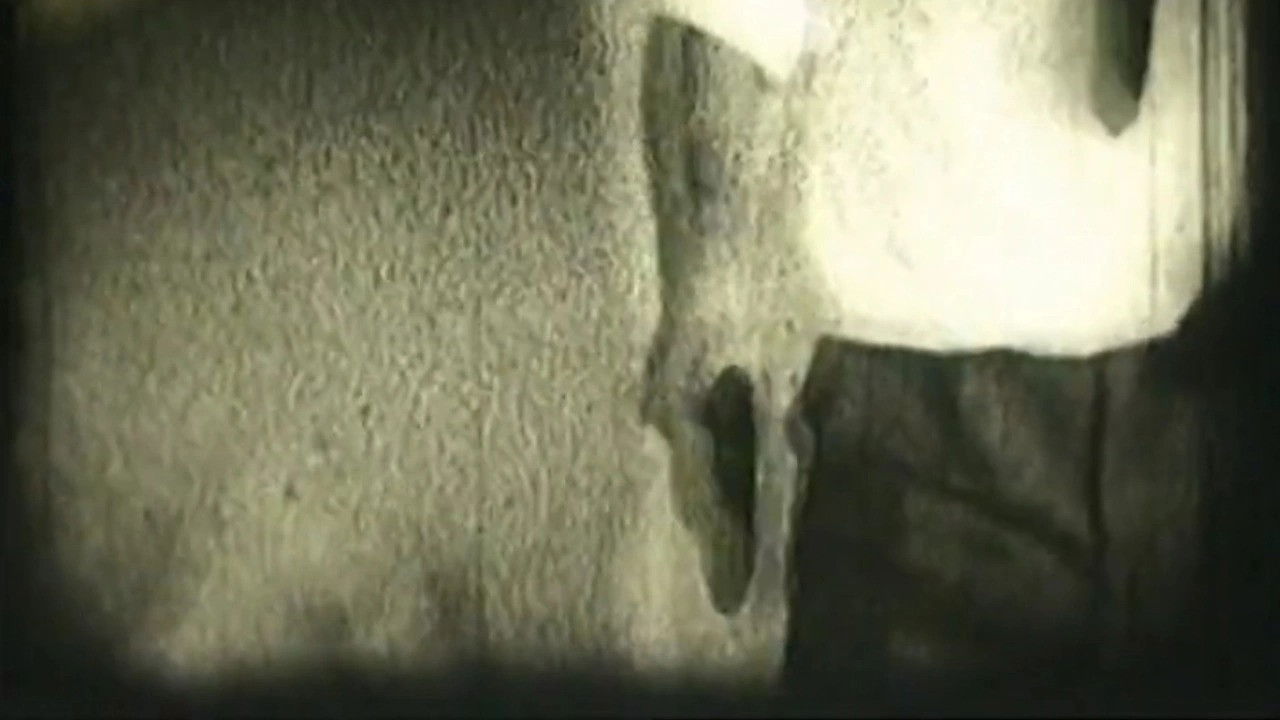 Backdrop for Table-Tennis