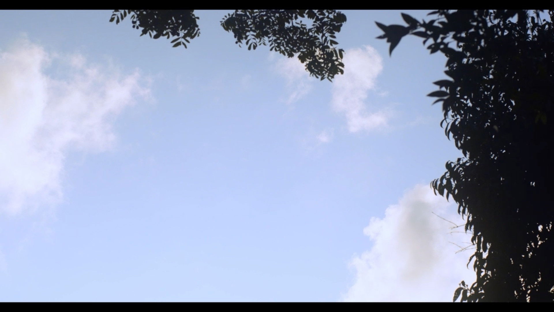 Backdrop for 15 Dias