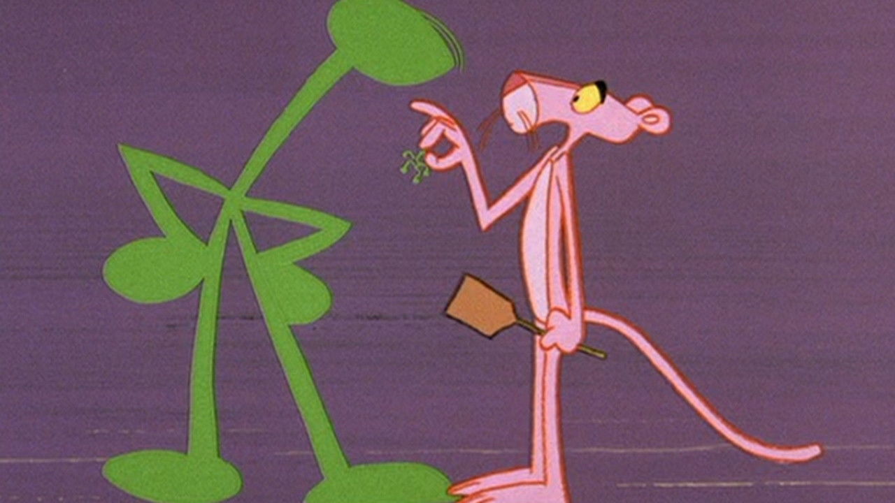 Backdrop for Pink Punch