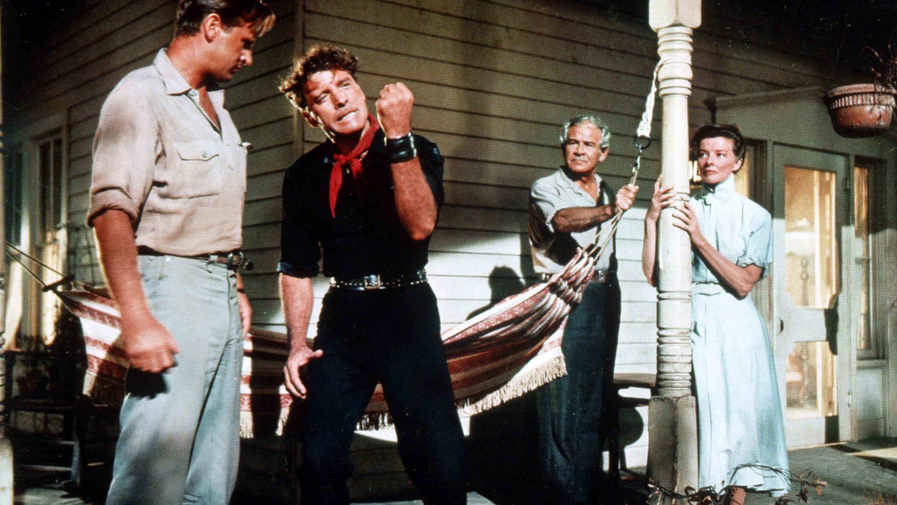 Backdrop for The Rainmaker