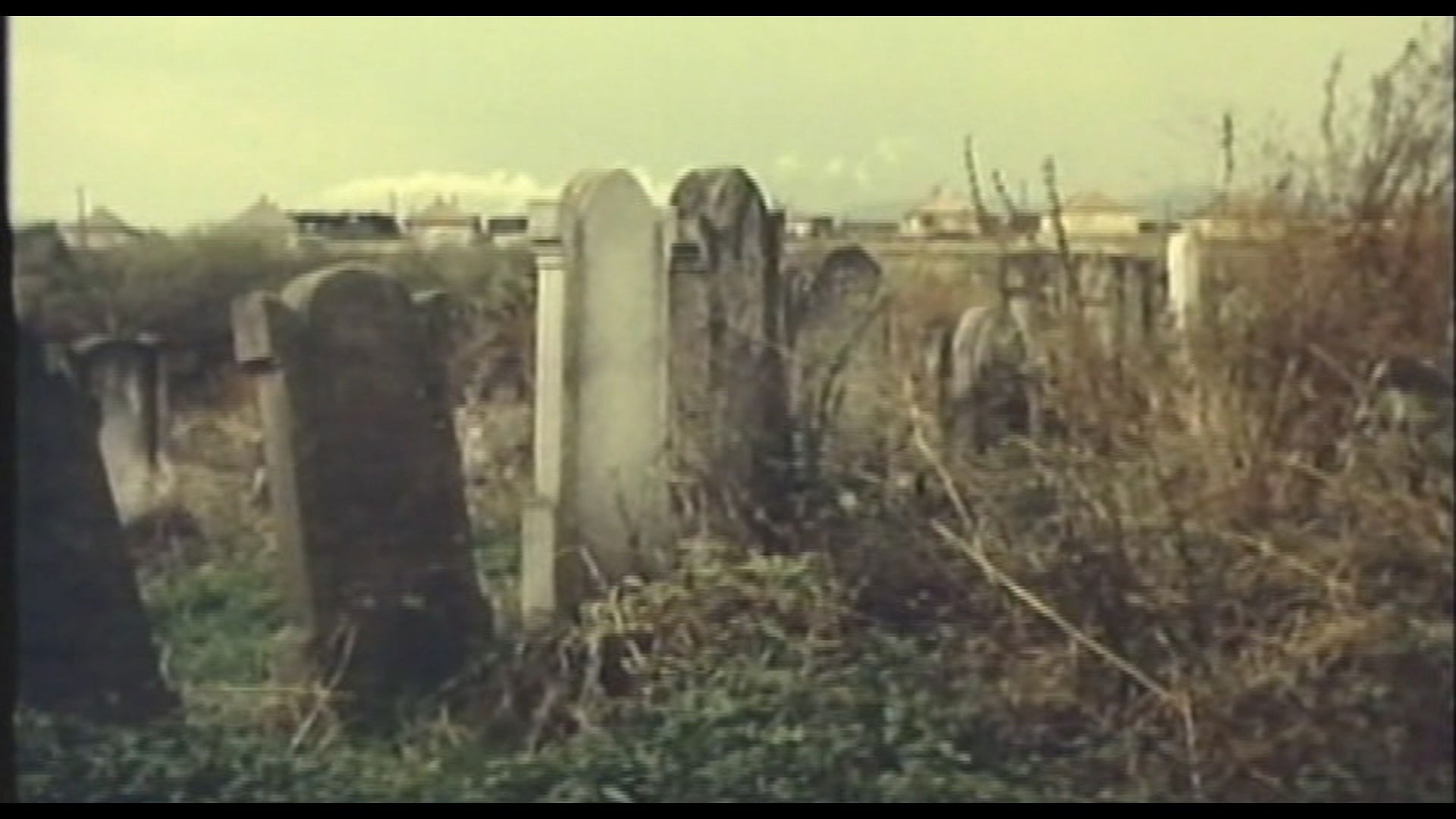 Backdrop for The Presence II