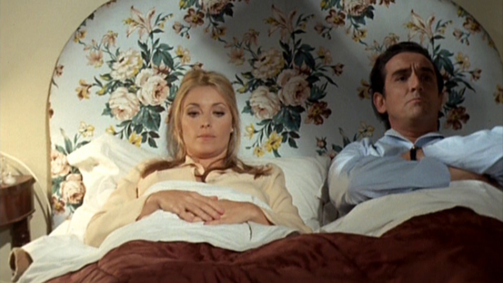 Backdrop for Twelve Plus One