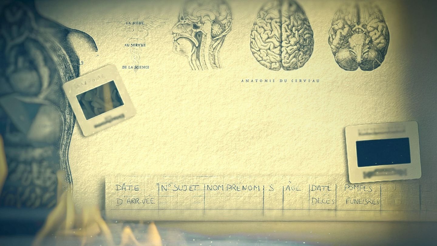 Backdrop for Paris Descartes - Anatomie d'un scandale