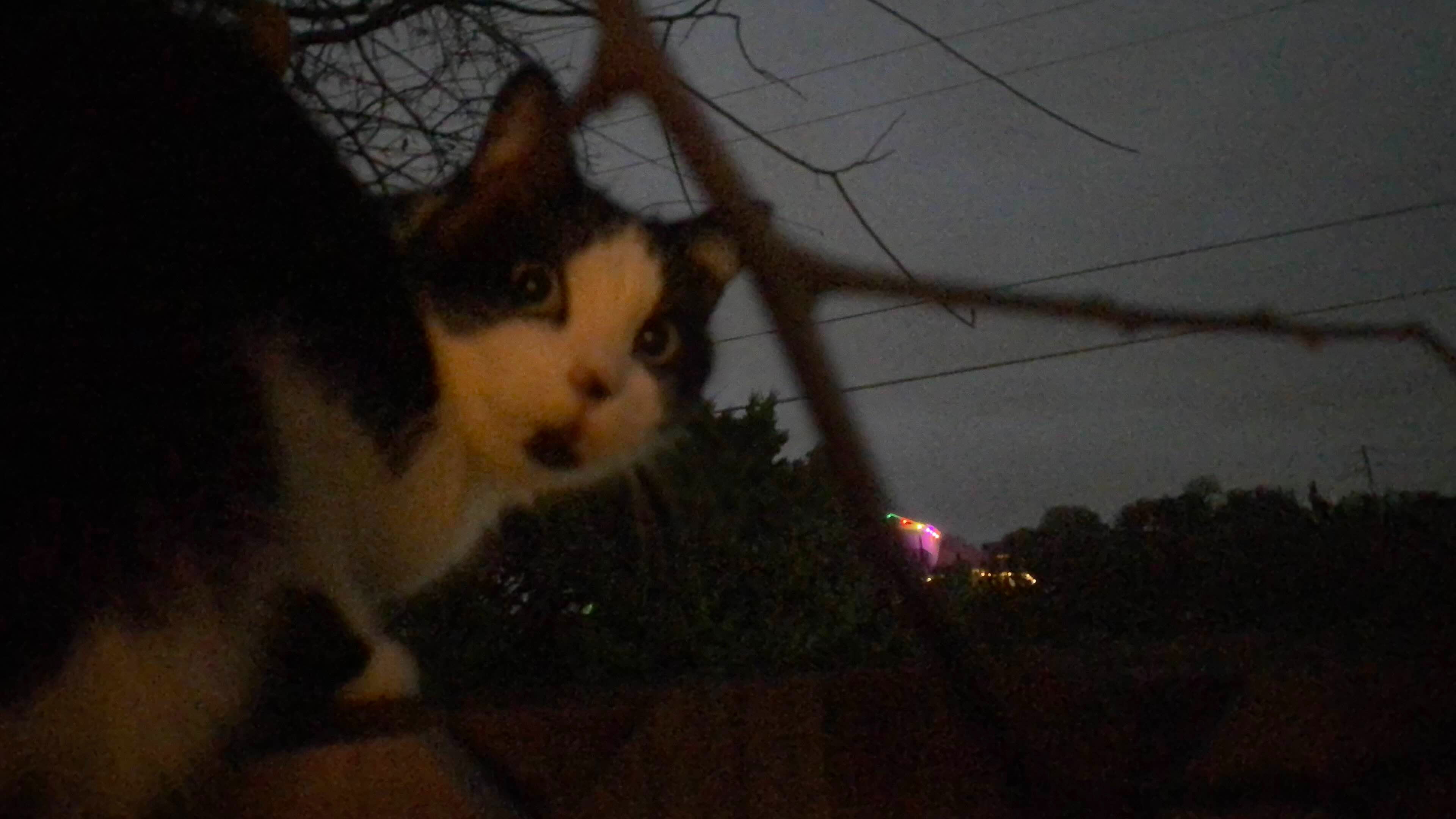 Backdrop for Under the Weight of a Waking Dream