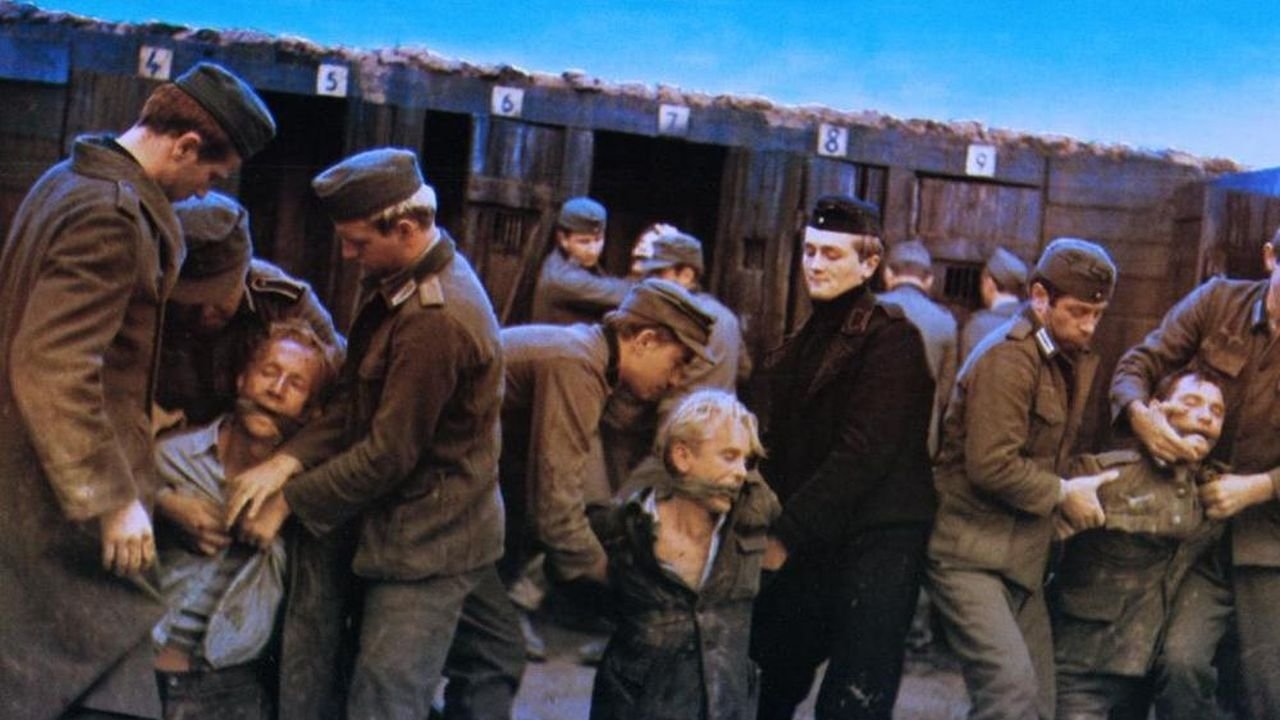 Backdrop for The Fifth Day of Peace