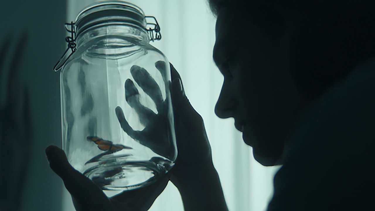 Backdrop for Anomaly