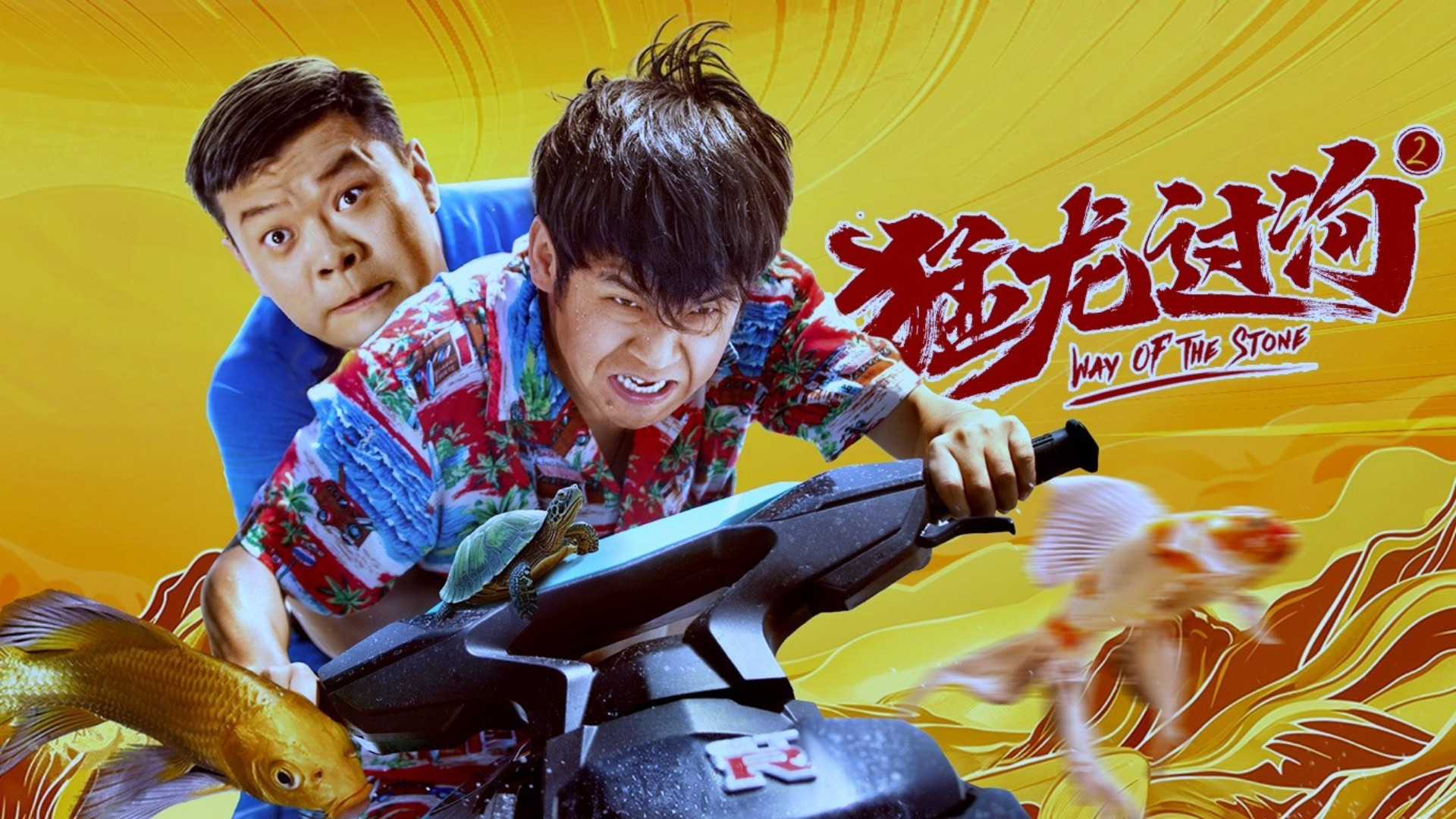 Backdrop for Way of the Stone 2