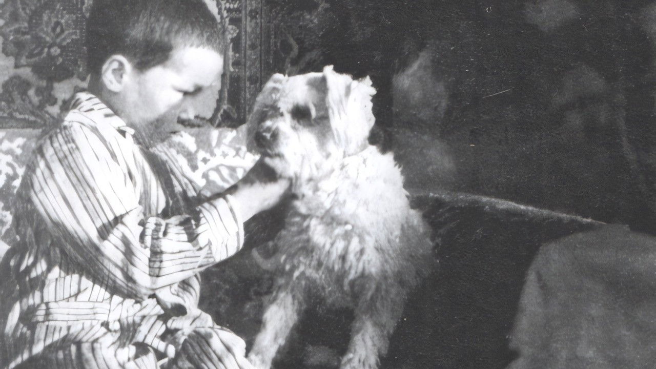 Backdrop for Stained Carpet