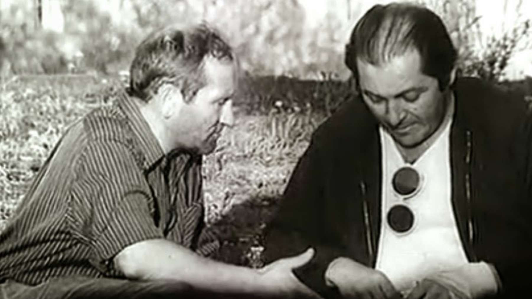 Backdrop for The Ascended