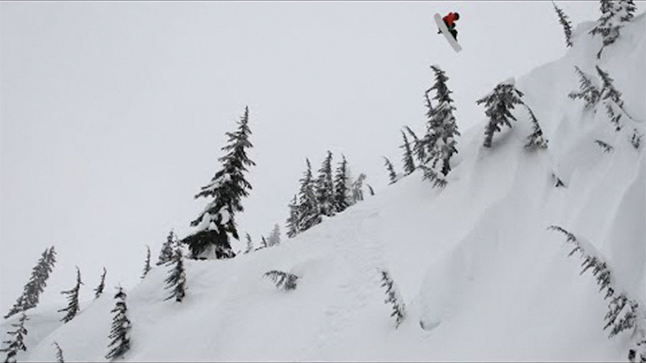 Backdrop for WashDup