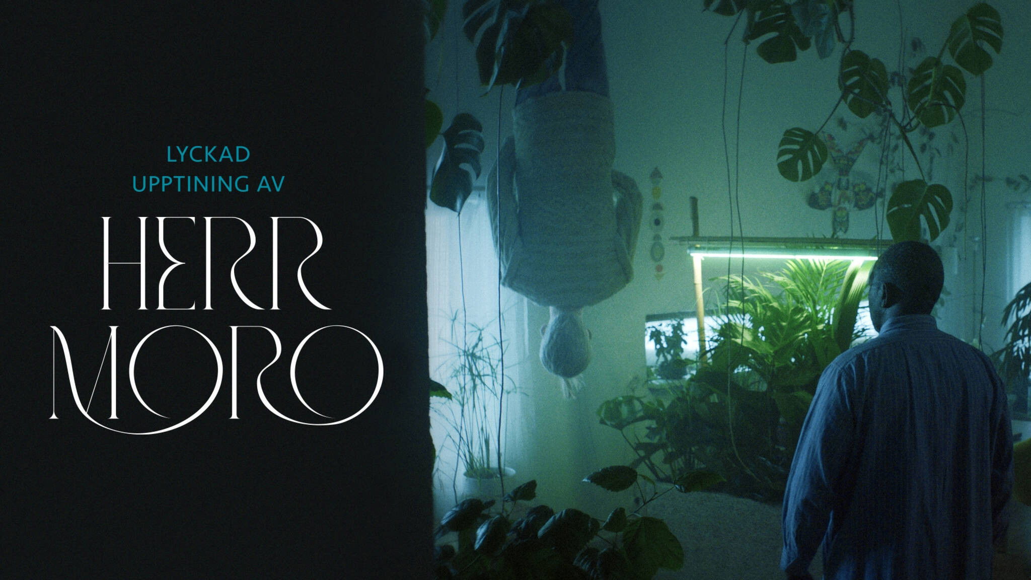 Backdrop for Successful Thawing of Mr Moro