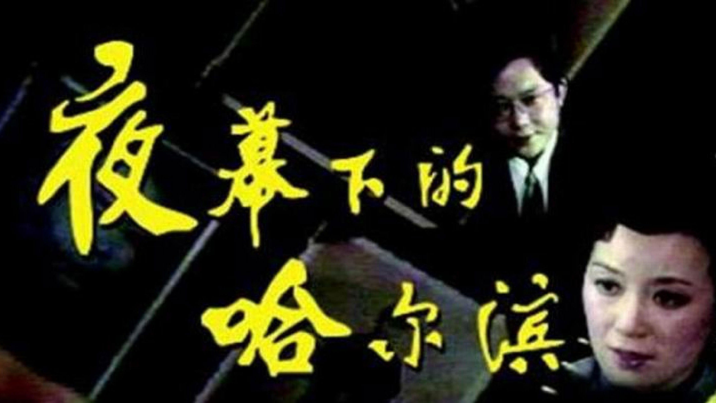 Backdrop for 夜幕下的哈尔滨