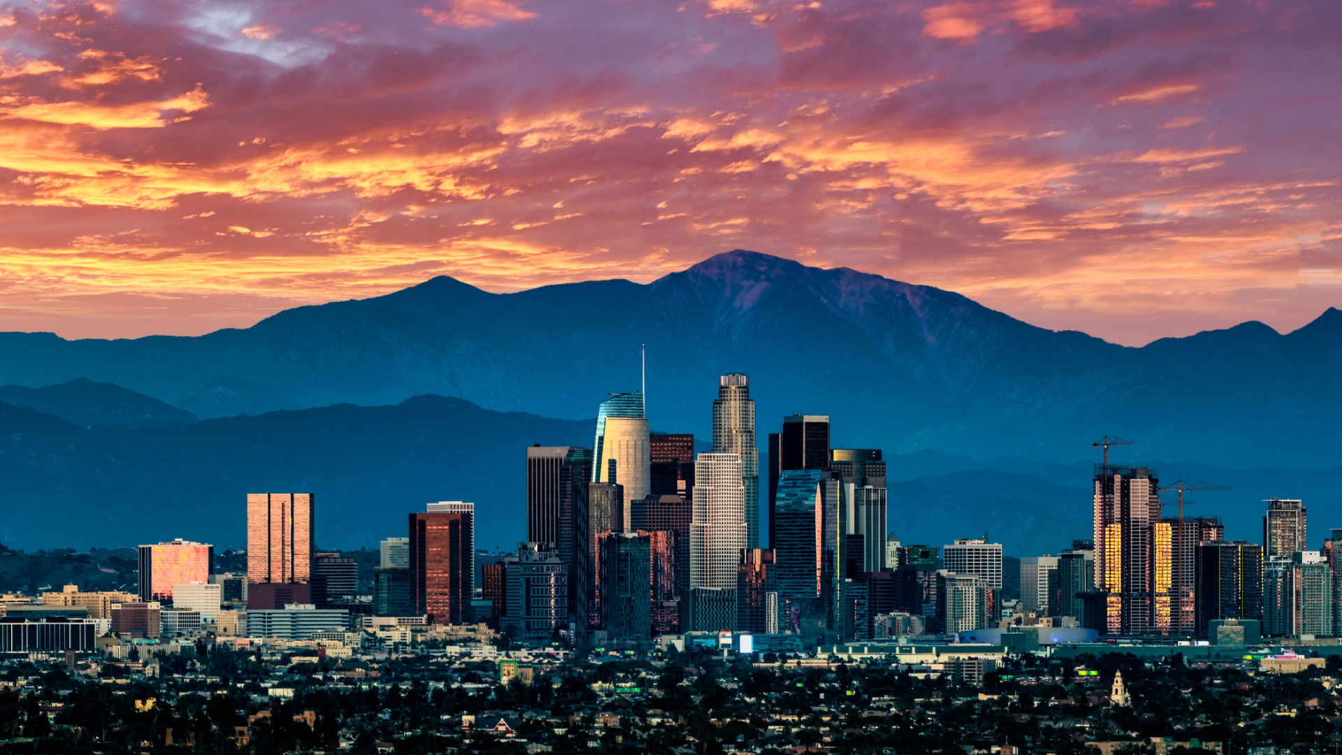 Backdrop for Boy From LA