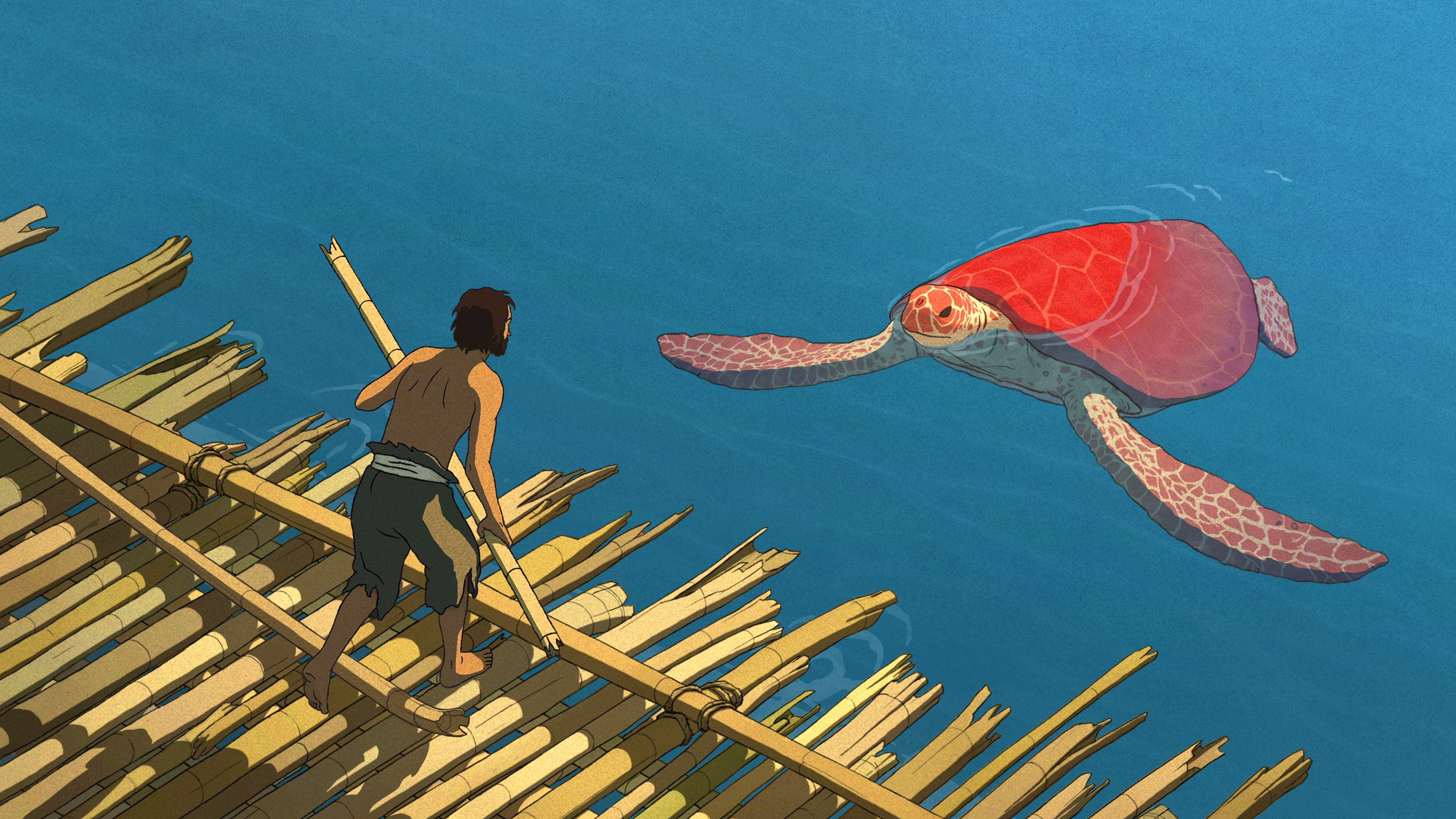 Backdrop for The Red Turtle