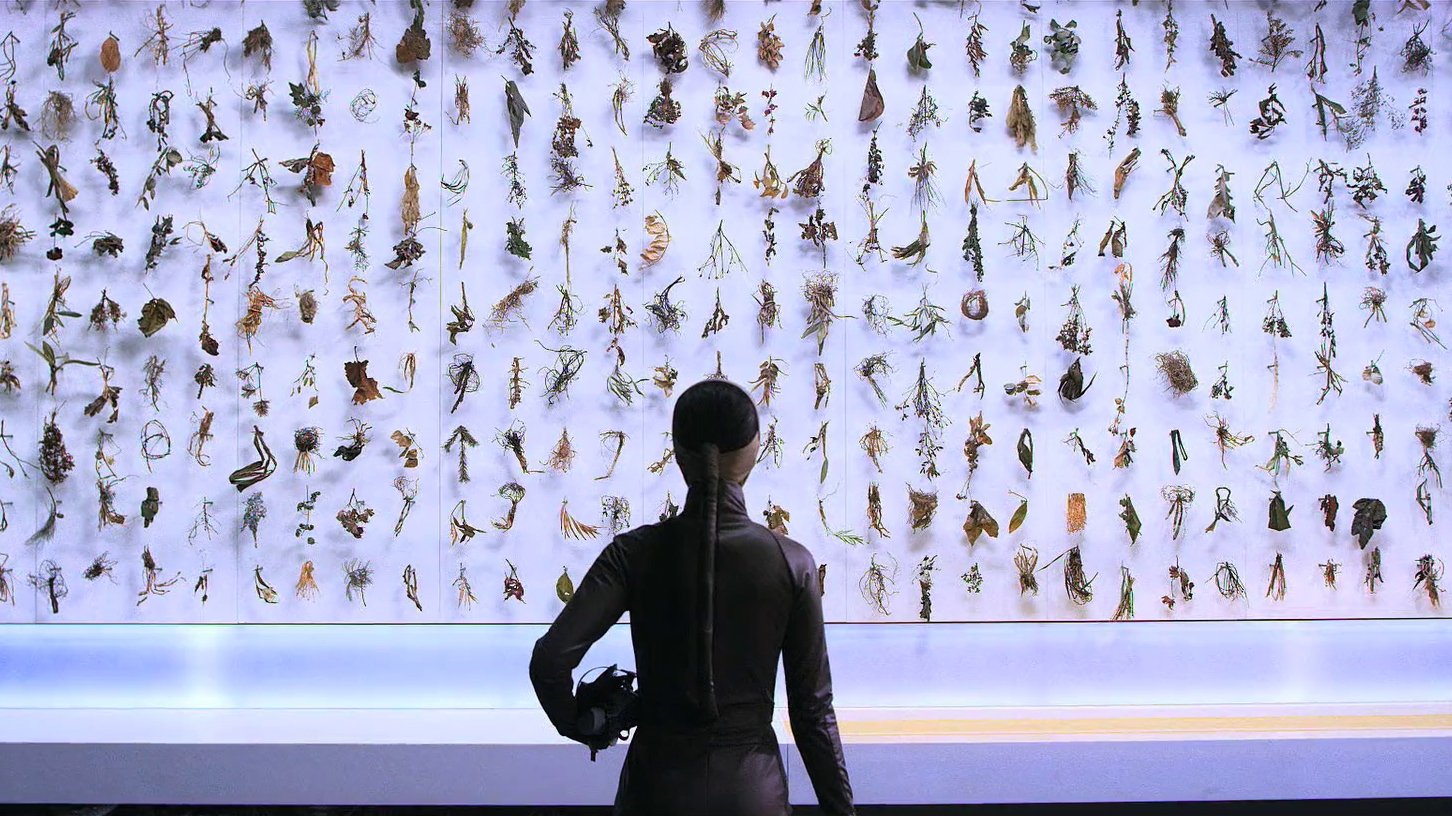 Backdrop for El Fin del Mundo