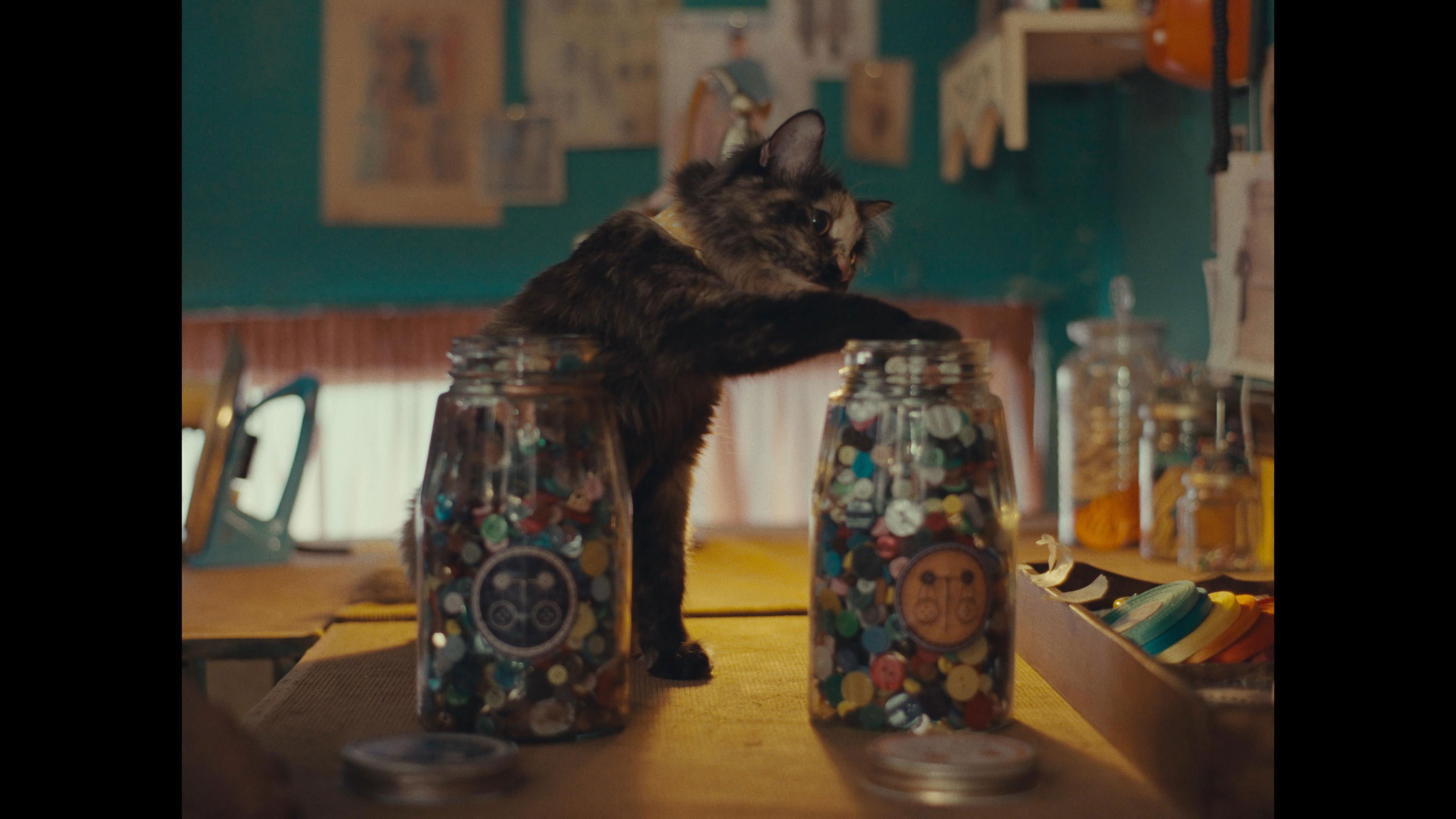 Backdrop for Where It Begins