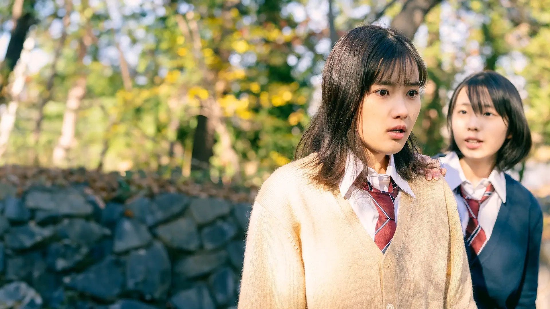 Backdrop for Mayhem Girls